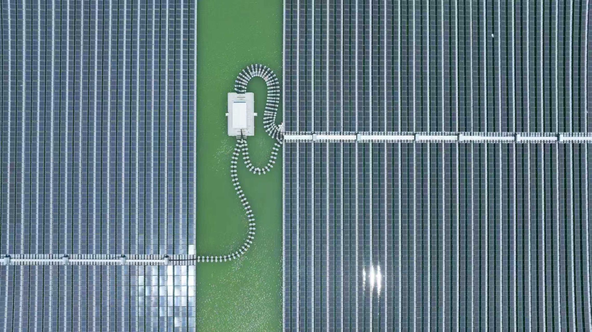 beat365在线登录入口