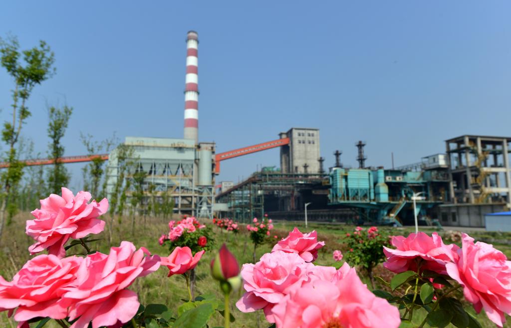 beat365在线登录入口