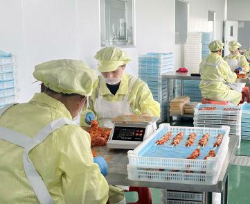 beat365在线登录入口