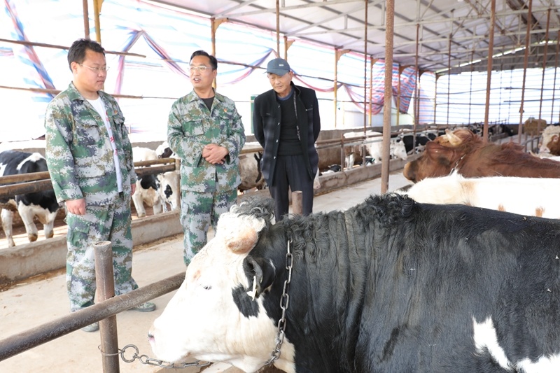 beat365在线登录入口