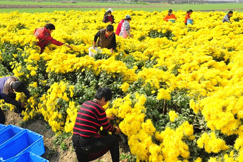 beat365在线登录入口